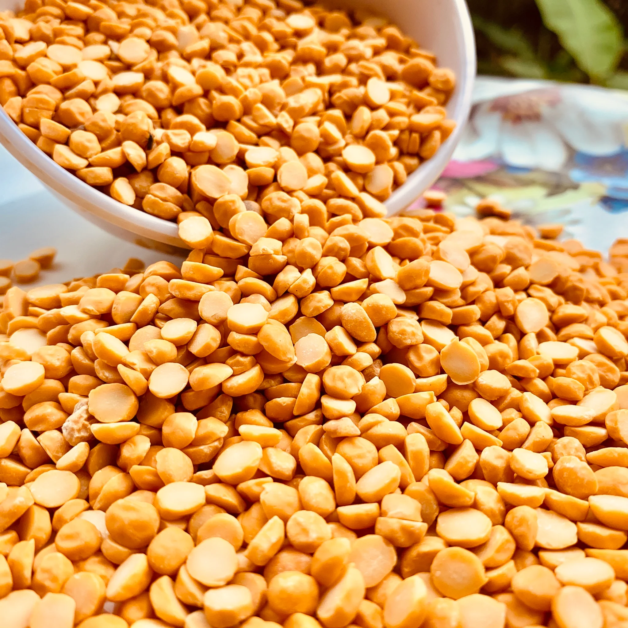 Chana Dal – Organic Split Yellow Chickpeas